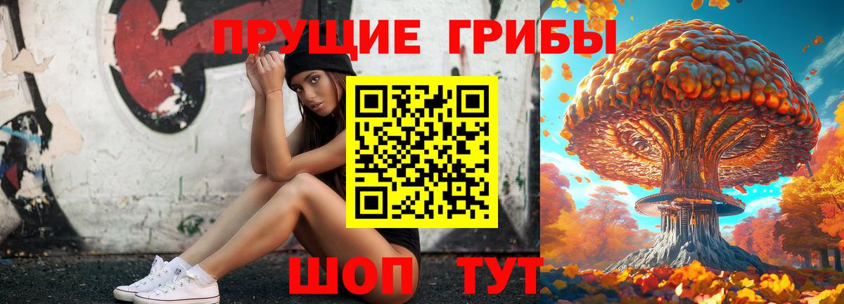 Владикавказ  Псилоцибиновые грибы GOLDEN TEACHER  Вход с VPN 