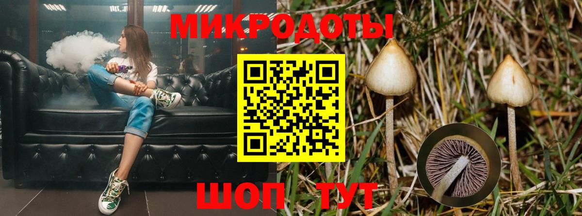 Галлюциногенные грибы MAGIC MUSHROOMS Владикавказ